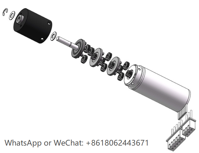 Hollow Cup Servo Motor - Gearbox and Motor Structure Diagram