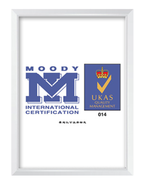 Shenzhen Servo Motion Control Technology Co., Ltd. Modi recognizes the registration mark - moody interantional certification