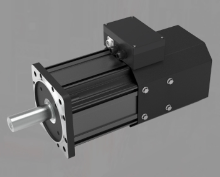 permanent magnet servo motor